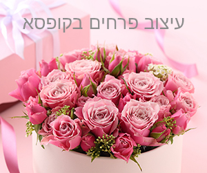 עיצוב פרחים בקופסא